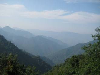 602330_535526756505448_1992535348_n