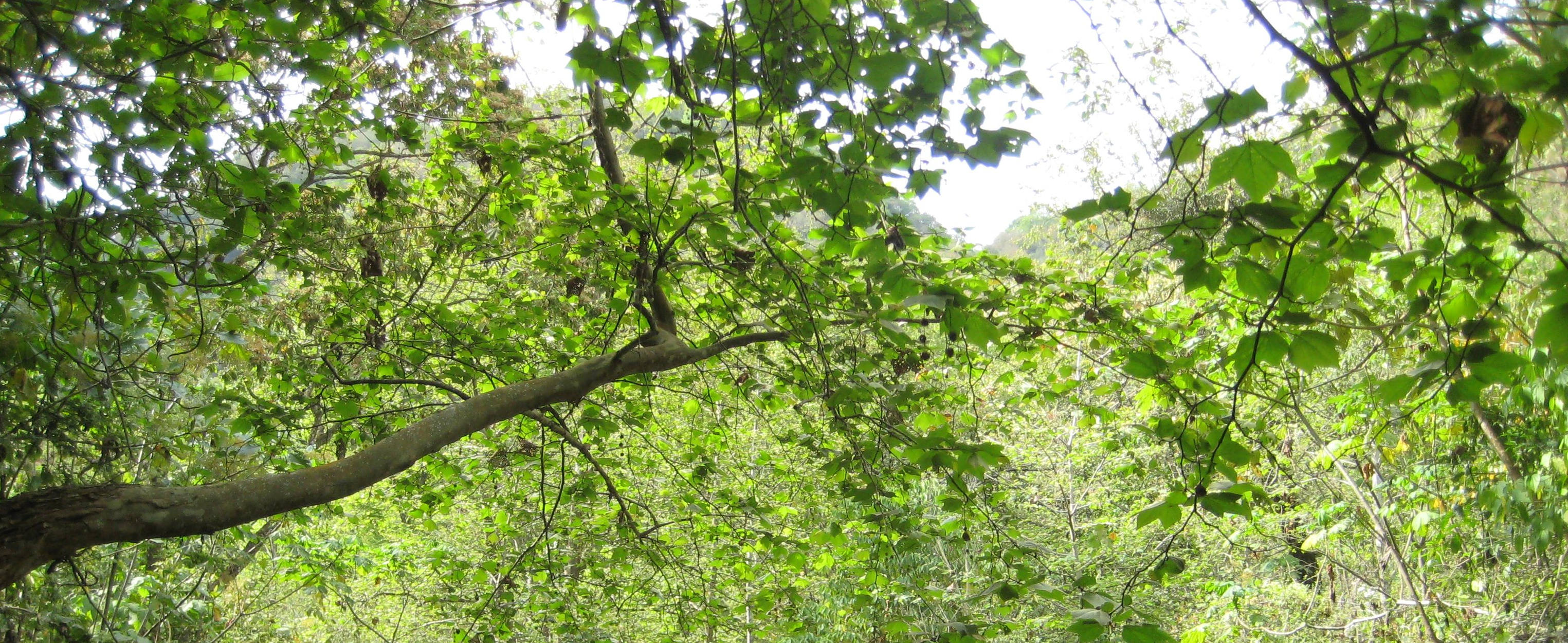 banner2
